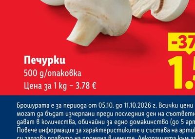 Шкаф Лиса