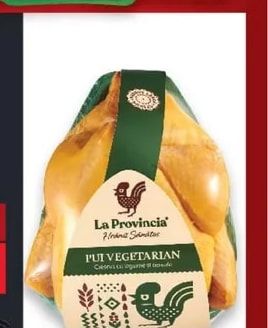 LA PROVINCIA Царевично пиле
