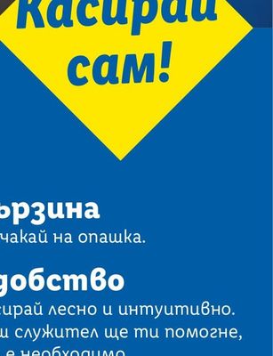 Български гъби печурки