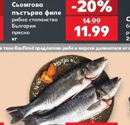 Сьомгова пъстърва филе