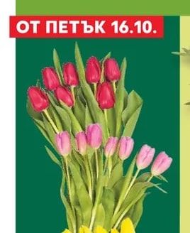Букет лалета
