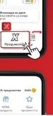 Авокадо Hass Клас I
