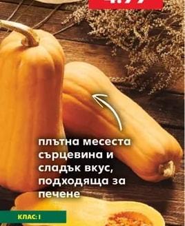 Тиква Декоративна