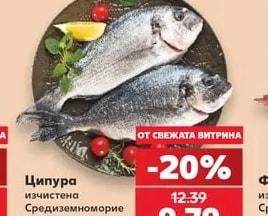 Ципура изчистена Средиземноморие прясна
