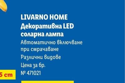 PARKSIDE Комплект четки различни видове