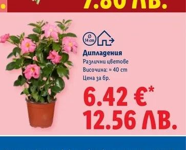 Дипладения