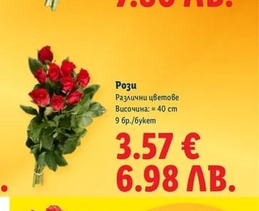 Рози