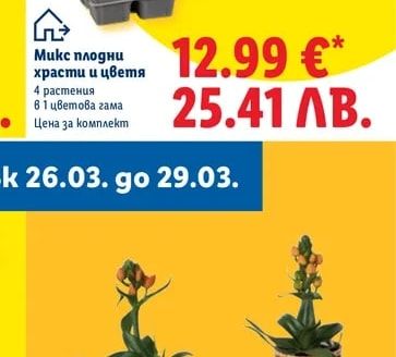 Микс плодни храсти и цветя