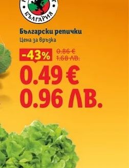 Български репички