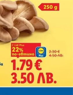 Български гъби Кладница