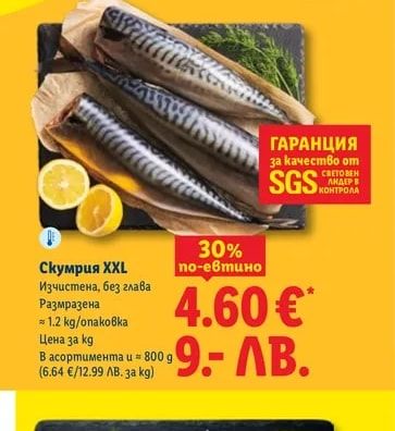 Скумрия XXL