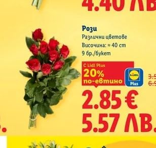 Рози