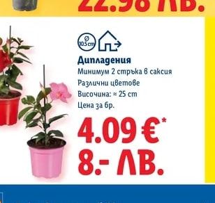 Дипладения