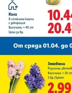 Кала