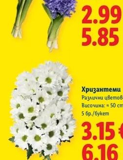Зюмбюли