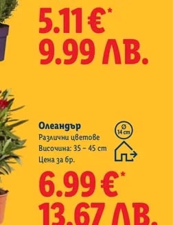 Олеандър