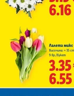 Лалета микс