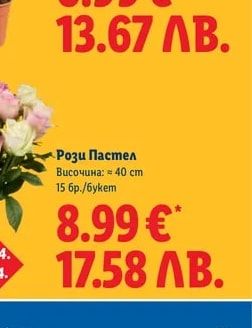 Рози Пастел