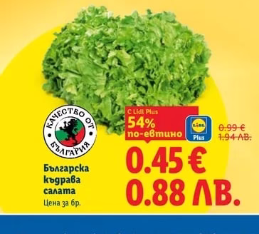 Българска къдрава салата