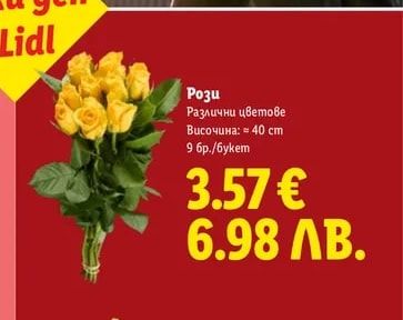 Рози