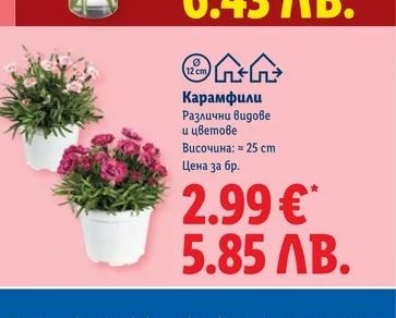Карамфили