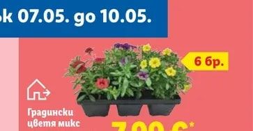 Градински цветя микс