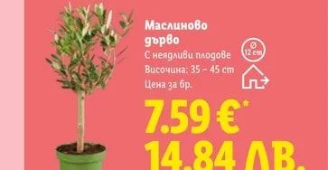 Конус за капково напояване