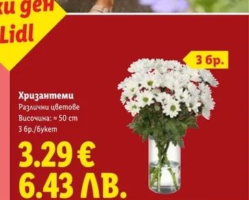 Хризантеми