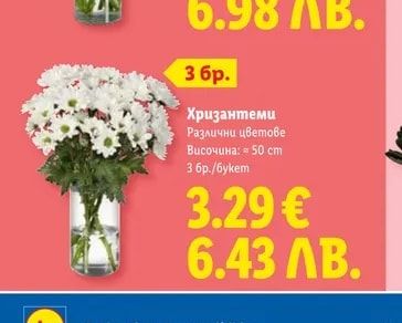 Хризантеми