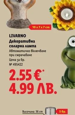 LIVARNO Декоративна соларна лампа