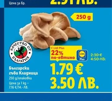 Български гъби Кладница