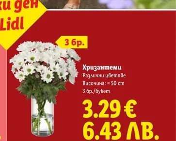 Хризантеми