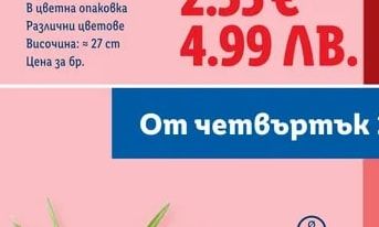 Алое вера