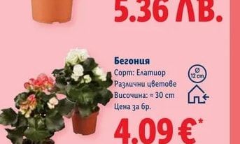 Стъклена ваза