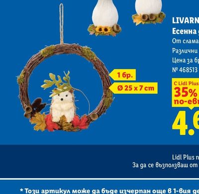 LIVARNO HOME Есенна декорация