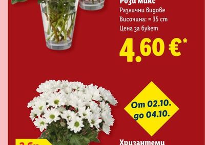 Рози микс