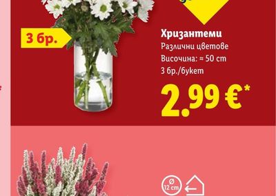 Хризантеми