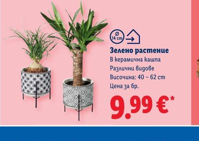 Зелено растение