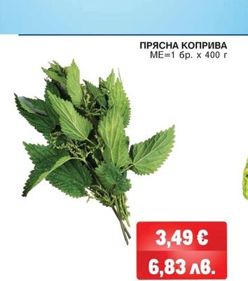 ПРЯСНА КОПРИВА