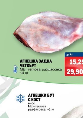 АГНЕШКА ЗАДНА ЧЕТВЪРТ