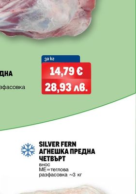 АГНЕШКА ПРЕДНА ЧЕТВЪРТ