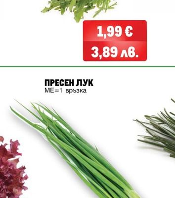 САЛАТА ФРИЗЕ