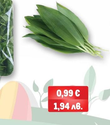 ПРЕСЕН ДИВ ЧЕСЪН