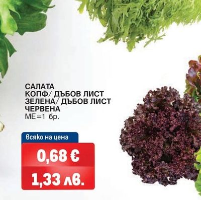 САЛАТА ФРИЗЕ