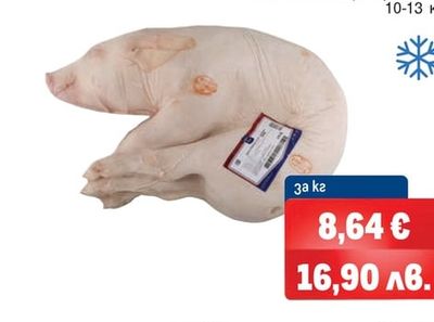 METRO CHEF Малко прасенце