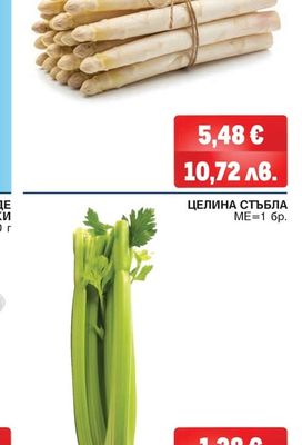 ЦЕЛИНА СТЪБЛА