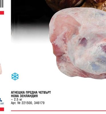 АГНЕШКА ПРЕДНА ЧЕТВЪРТ НОВА ЗЕНЛАНДИЯ
