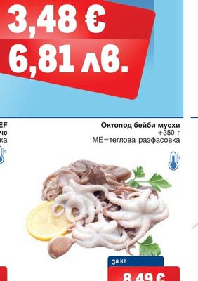 Октопод бейби мусхи