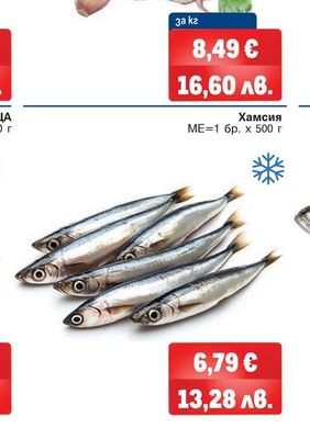 Хамсия