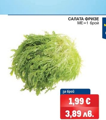 METRO Chef САЛАТА ФРИЗЕ
